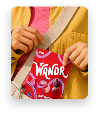 Go Wandr mini mochi gummies
