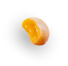 Go Wandr mini mochi gummies mango
