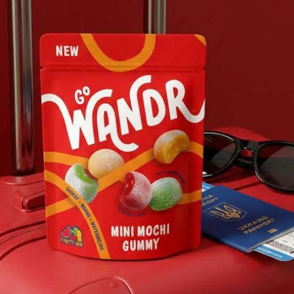go wandr product pouch